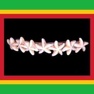 STARFISH HAIR CLIP 🇪🇹My Seasonal sale is :"Buy 1 Get 1 Free"🇪🇹